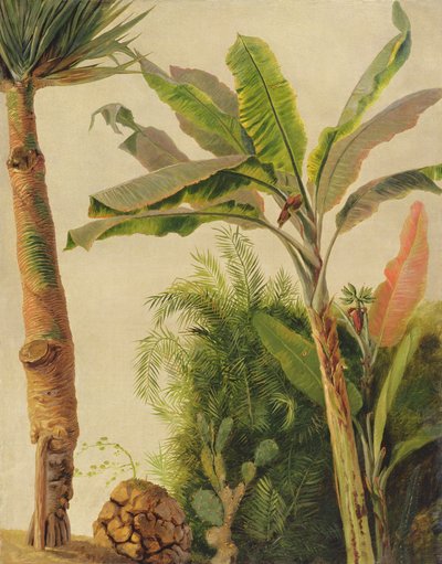 Bananenboom, c.1865 door Frederic Edwin Church